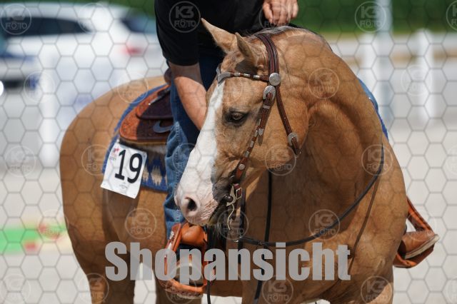s_A_900262.JPG